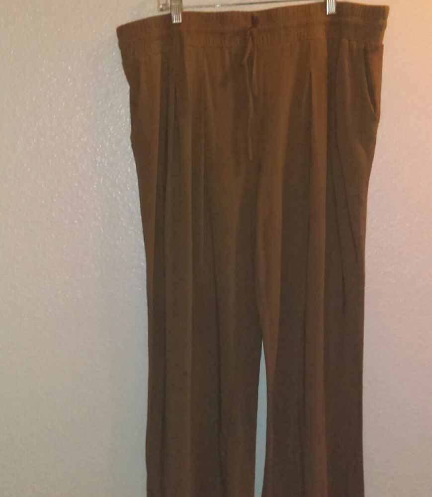 Any Body tan pull on pants